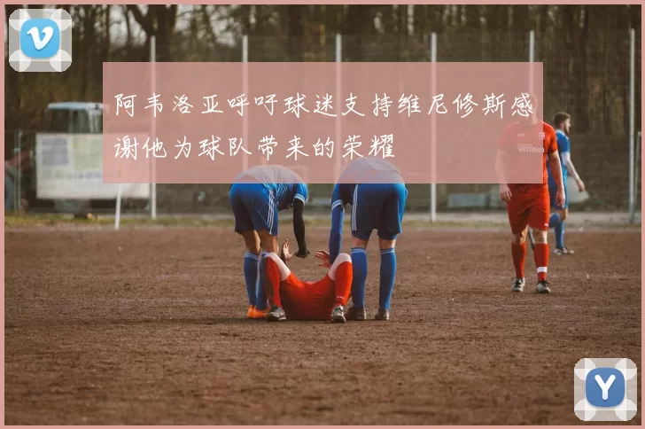 阿韦洛亚呼吁球迷支持维尼修斯感谢他为球队带来的荣耀